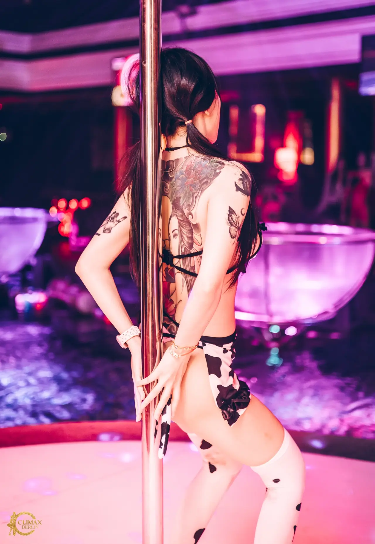 Professional Dancers - Image 12